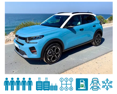 Категория Mini SUV