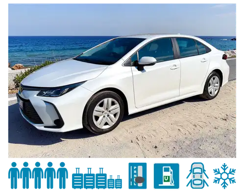 Category E Automatic